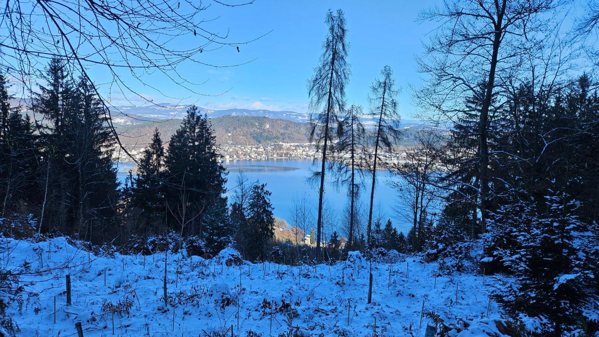 "Casa Antonio" 3 Gehminuten Strandbad Sekirn, Inkl Seezugang エクステリア 写真